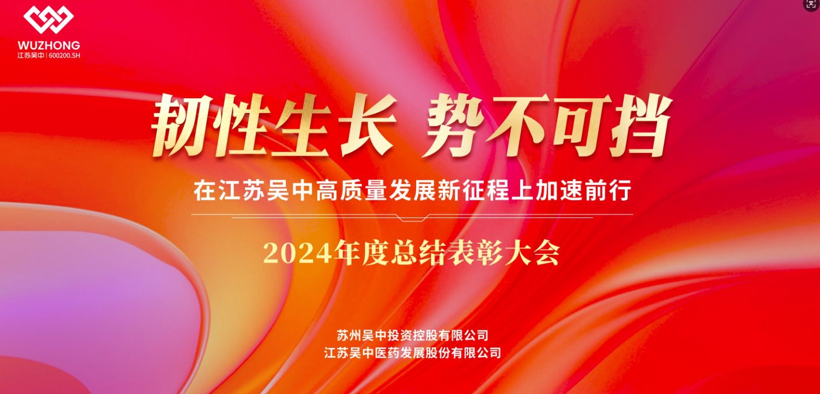 公司召開2024年度總結(jié)表彰大會暨2025年新春團...